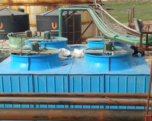 WhatsApp Image 2026-04-06 at 14.21.05